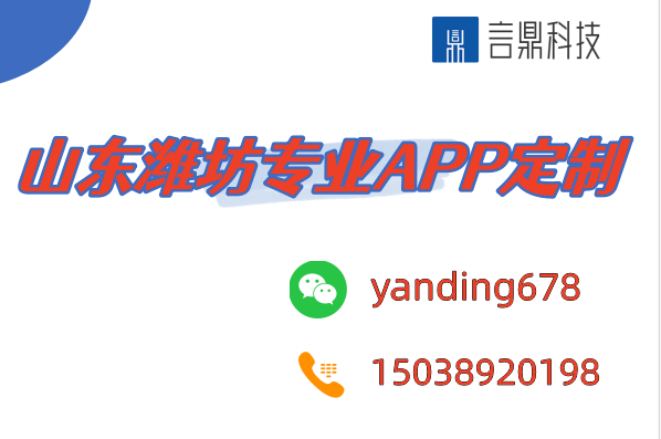 山东潍坊专业APP定制